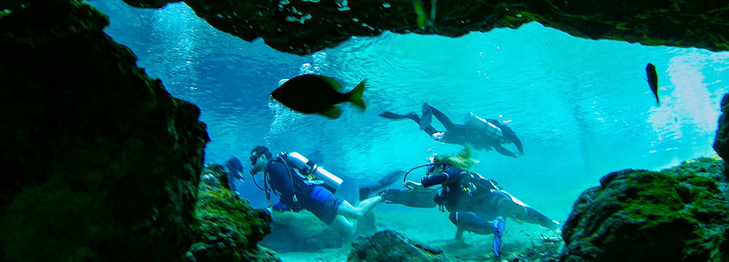 Plongée sous-marine: plongée individuelle