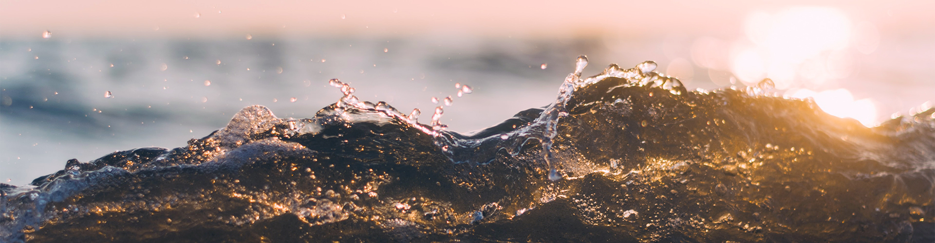 Bendati alla scoperta del mare